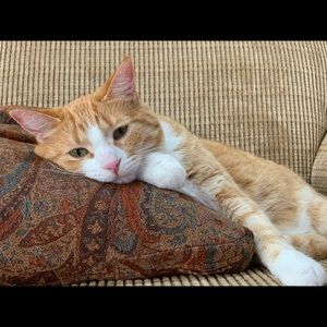 Meet your Posher, Kirstyn